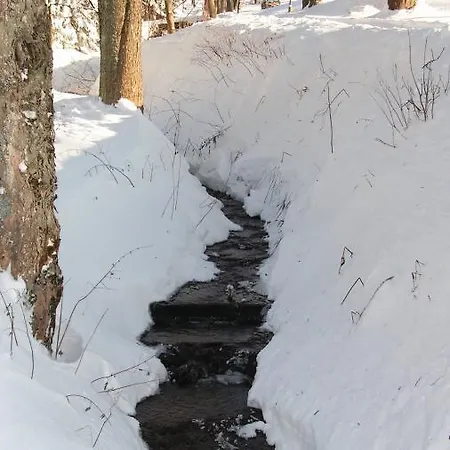 شاليه U Studanky ديشتني في أورليتسكيخ هوراخ